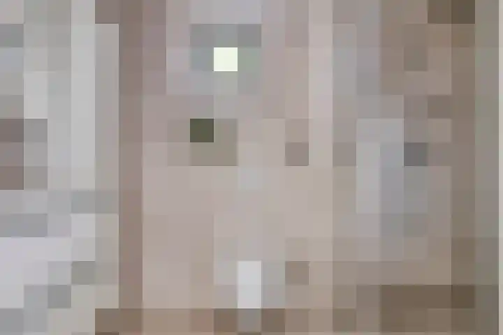 P.C. Hooftsingel 66 Hendrik-Ido-Ambacht thumbnail 30