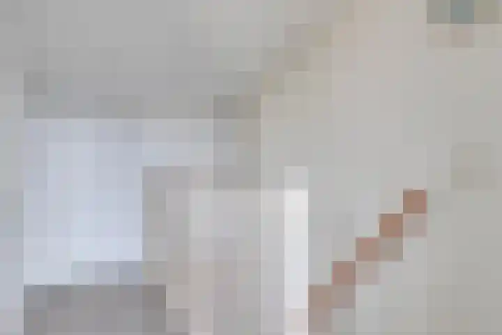 P.C. Hooftsingel 66 Hendrik-Ido-Ambacht thumbnail 32