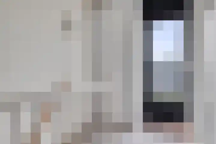 P.C. Hooftsingel 66 Hendrik-Ido-Ambacht thumbnail 33