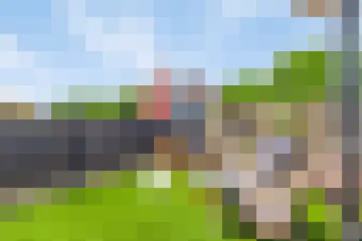 P.C. Hooftsingel 66 Hendrik-Ido-Ambacht thumbnail 36