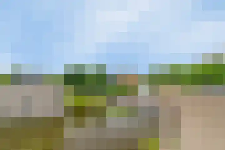 P.C. Hooftsingel 66 Hendrik-Ido-Ambacht thumbnail 37