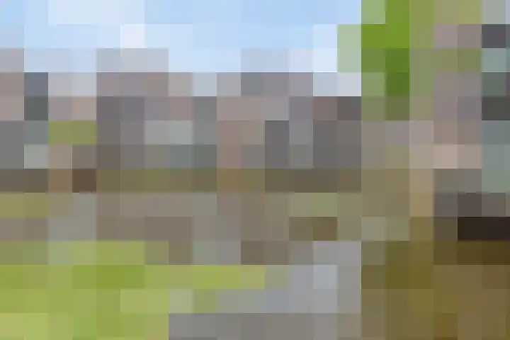 P.C. Hooftsingel 66 Hendrik-Ido-Ambacht thumbnail 39