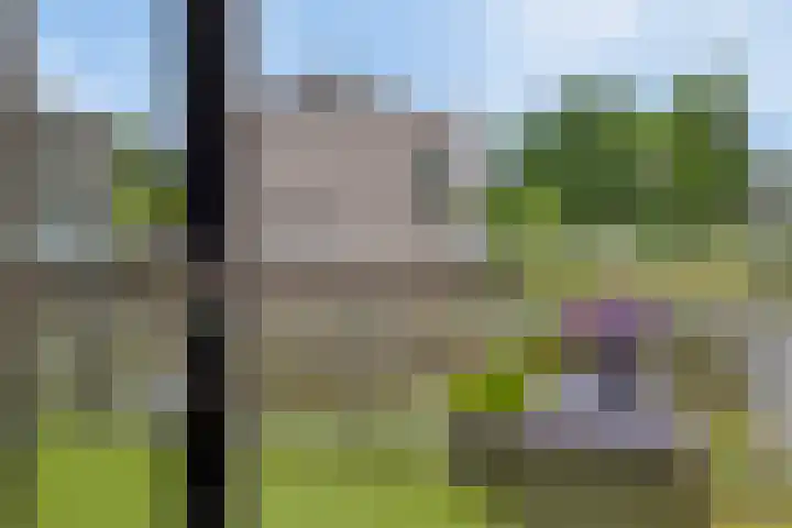 P.C. Hooftsingel 66 Hendrik-Ido-Ambacht thumbnail 4