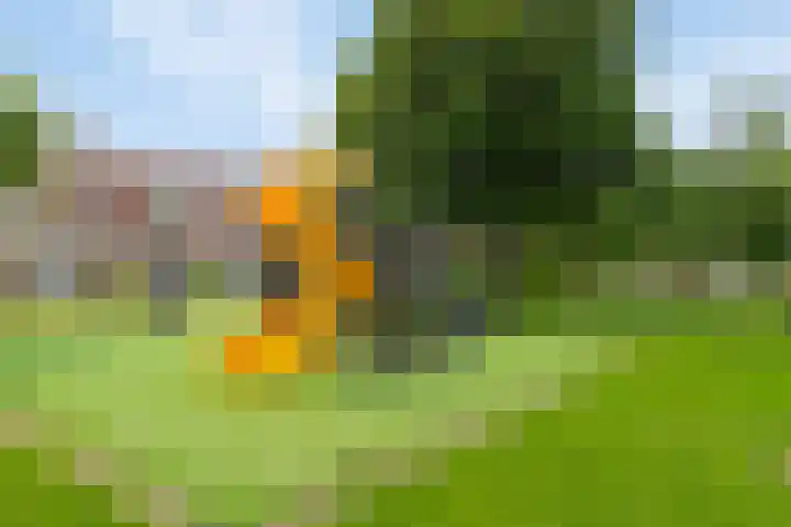 P.C. Hooftsingel 66 Hendrik-Ido-Ambacht thumbnail 44