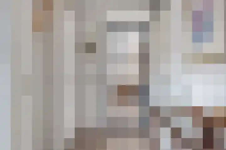 P.C. Hooftsingel 66 Hendrik-Ido-Ambacht thumbnail 7