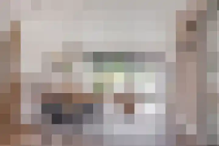 P.C. Hooftsingel 66 Hendrik-Ido-Ambacht thumbnail 9