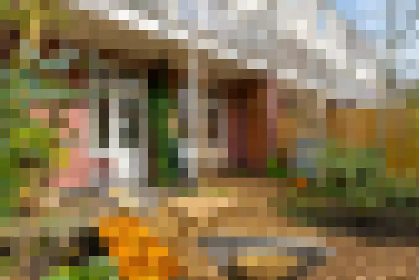 P.C. Hooftstraat 10 Utrecht thumbnail 14