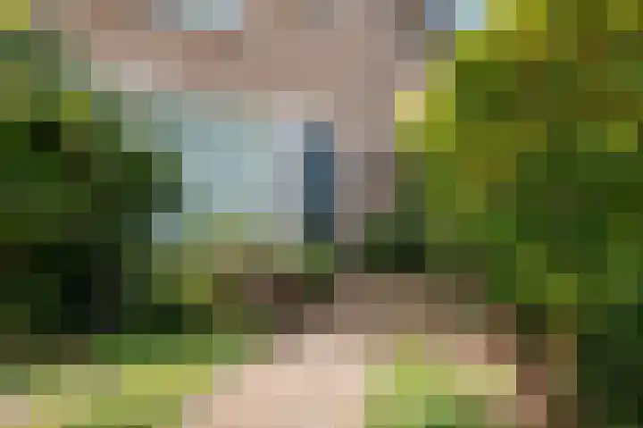 P.C. Hooftstraat 12 Goor thumbnail 31