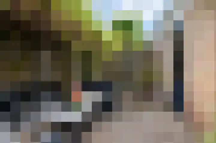 P.C. Hooftstraat 12 Goor thumbnail 4