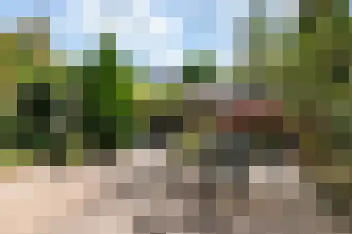 P.C. Hooftstraat 12 Goor thumbnail 5