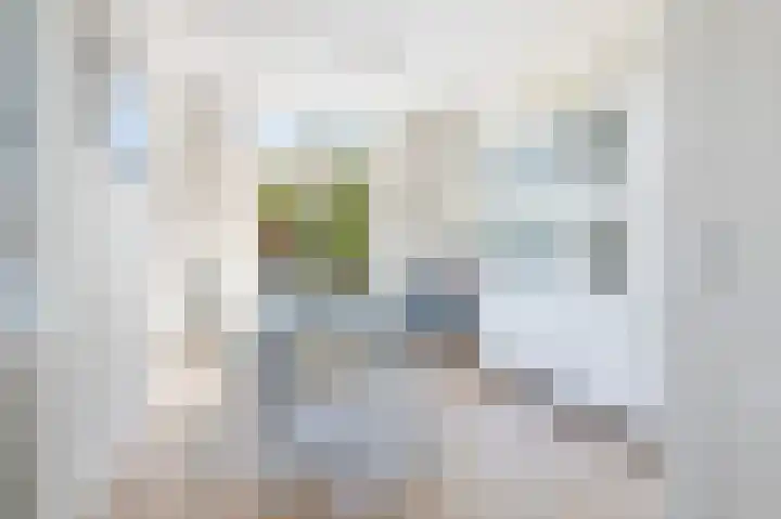 P.C. Hooftstraat 12 Goor thumbnail 8