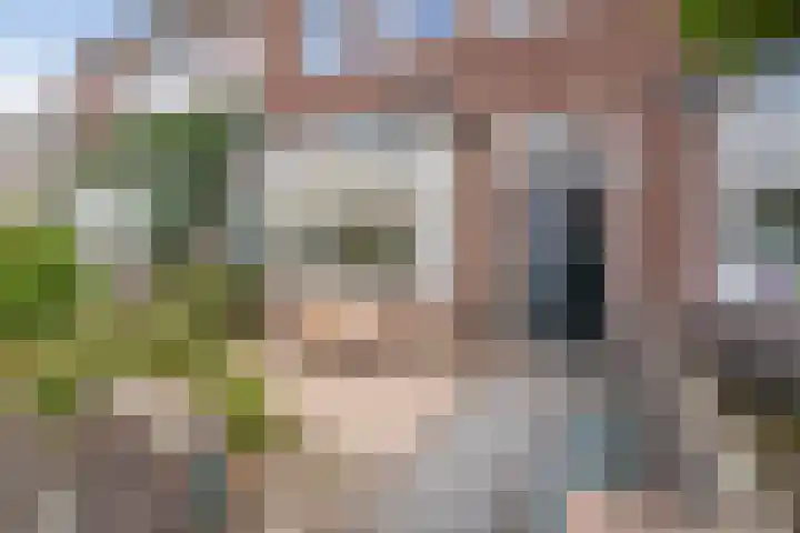 P.C. Hooftstraat 16 Haarlem thumbnail 4