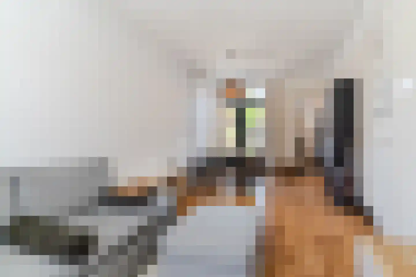 P.C. Hooftstraat 17 Tilburg thumbnail 12