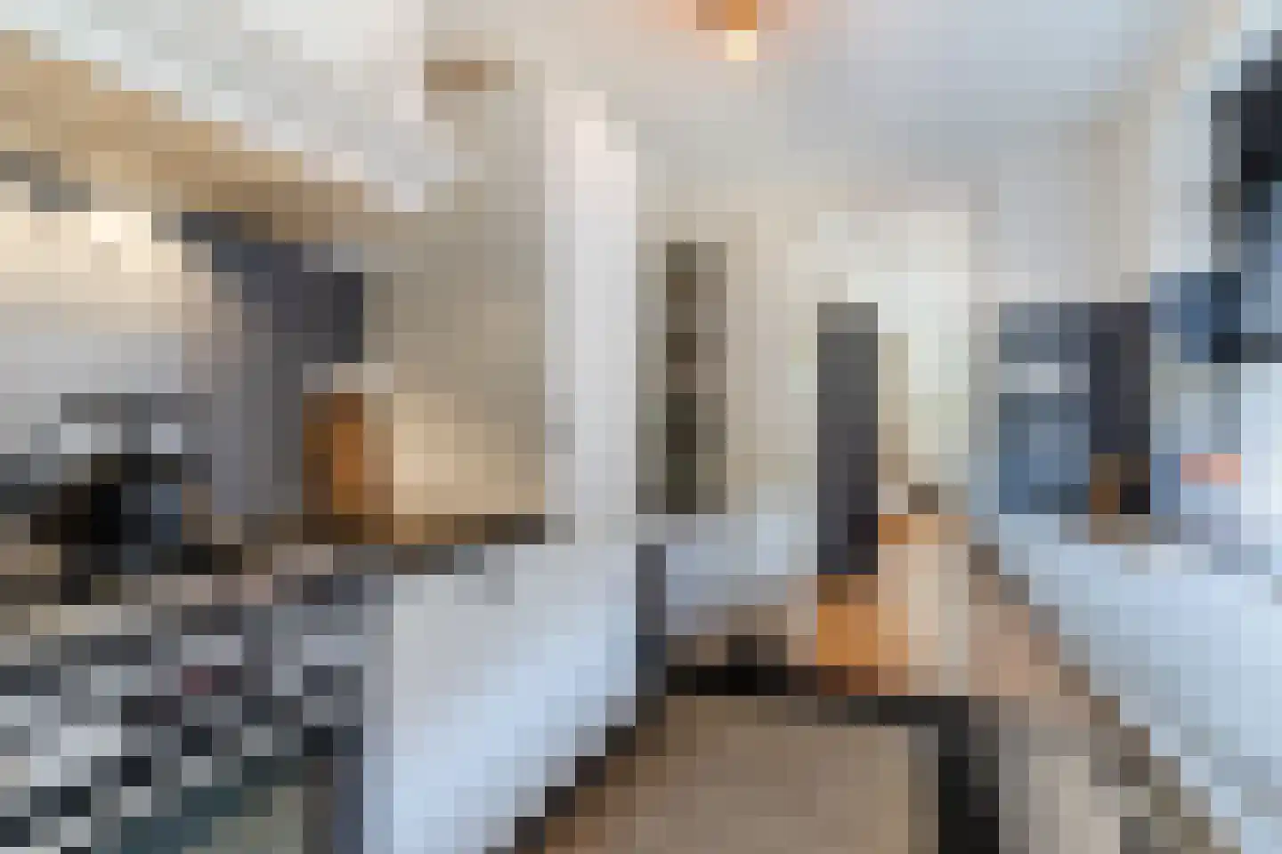 P.C. Hooftstraat 17 Tilburg thumbnail 15