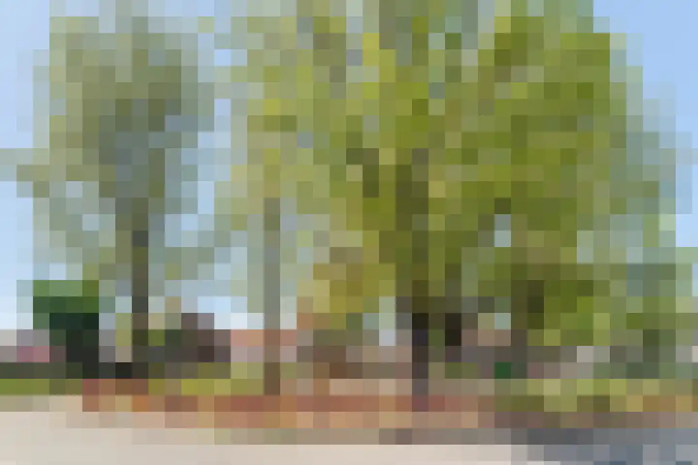 P.C. Hooftstraat 17 Tilburg thumbnail 40