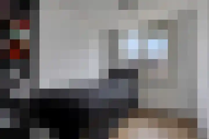 P C Hooftstraat 18 Hulst thumbnail 14