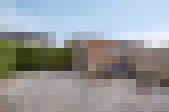 P C Hooftstraat 18 Hulst thumbnail 17
