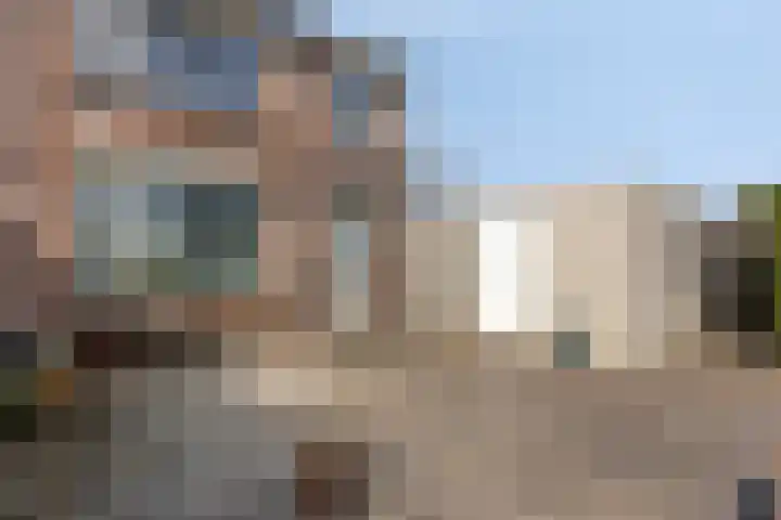 P C Hooftstraat 18 Hulst thumbnail 19