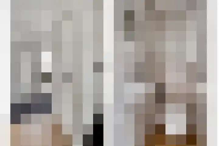 P C Hooftstraat 18 Hulst thumbnail 4