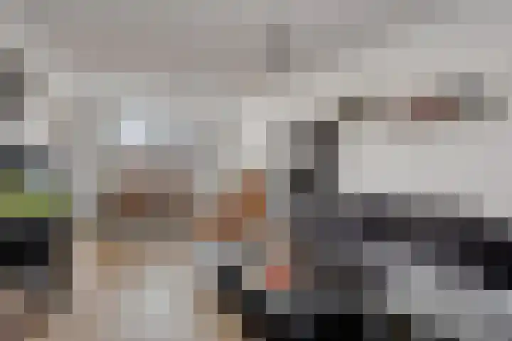 P C Hooftstraat 18 Hulst thumbnail 6
