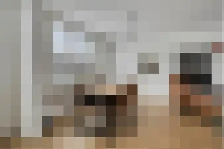 P C Hooftstraat 18 Hulst thumbnail 8