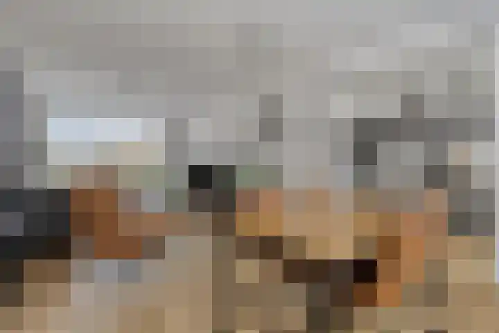 P C Hooftstraat 18 Hulst thumbnail 9