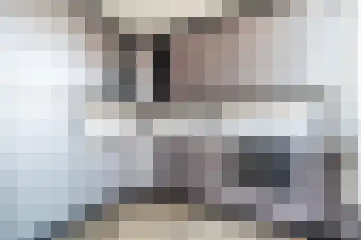 P.C. Hooftstraat 18 Waddinxveen thumbnail 11