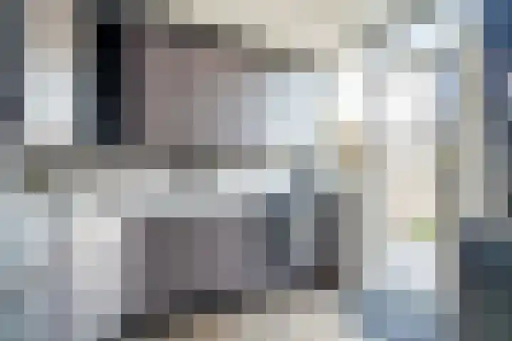 P.C. Hooftstraat 18 Waddinxveen thumbnail 12