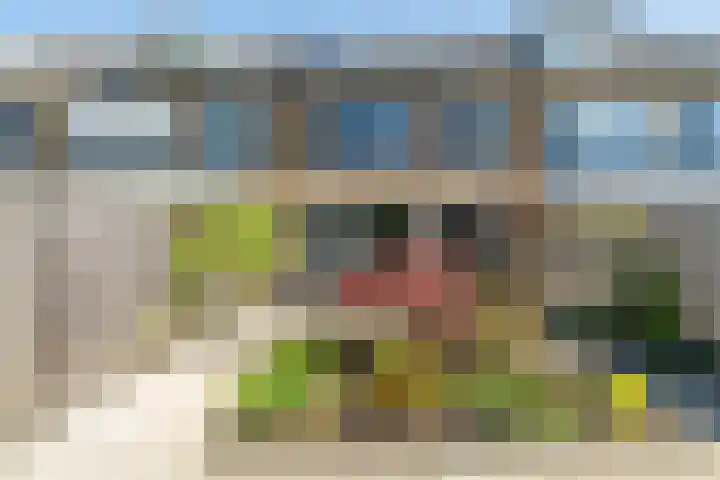 P.C. Hooftstraat 18 Waddinxveen thumbnail 14