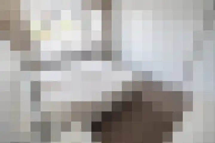 P.C. Hooftstraat 18 Waddinxveen thumbnail 23