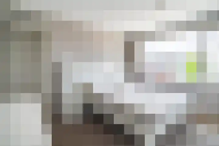 P.C. Hooftstraat 18 Waddinxveen thumbnail 24