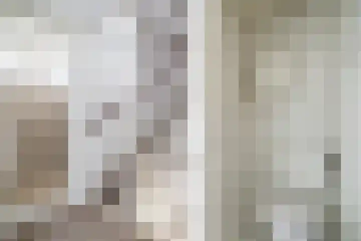 P.C. Hooftstraat 18 Waddinxveen thumbnail 28