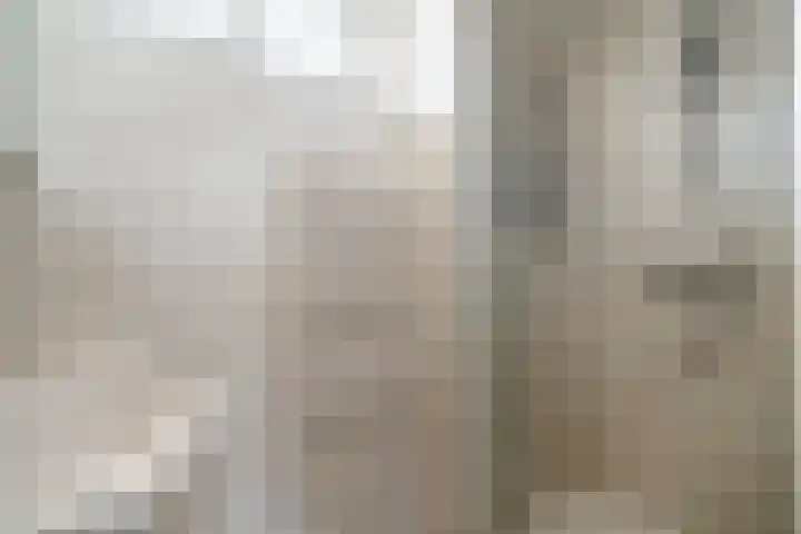 P.C. Hooftstraat 18 Waddinxveen thumbnail 29