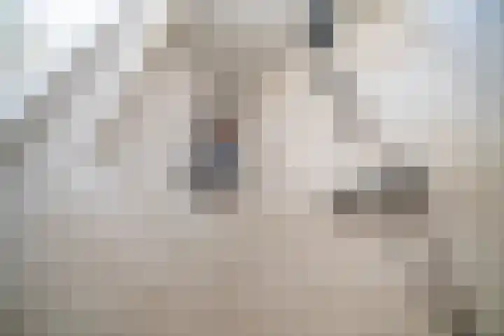 P.C. Hooftstraat 18 Waddinxveen thumbnail 31