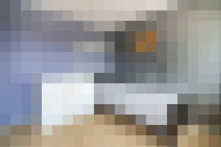 P.C. Hooftstraat 18 Waddinxveen thumbnail 33