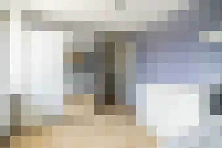 P.C. Hooftstraat 18 Waddinxveen thumbnail 34