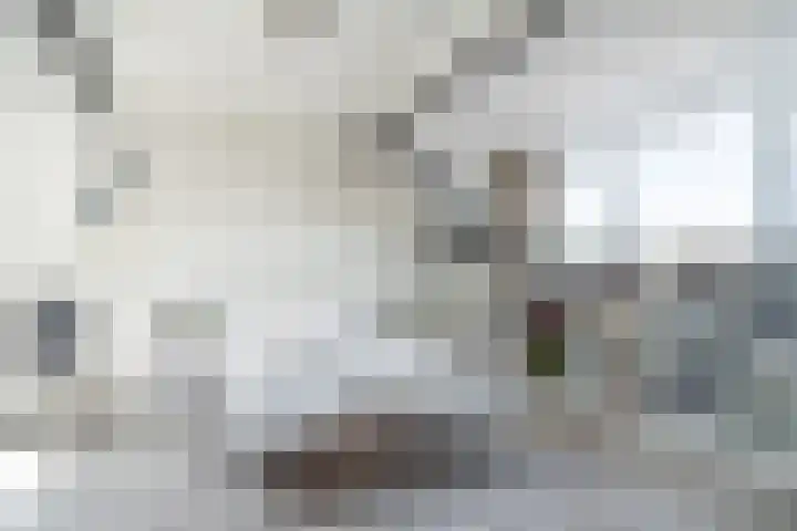 P.C. Hooftstraat 18 Waddinxveen thumbnail 36