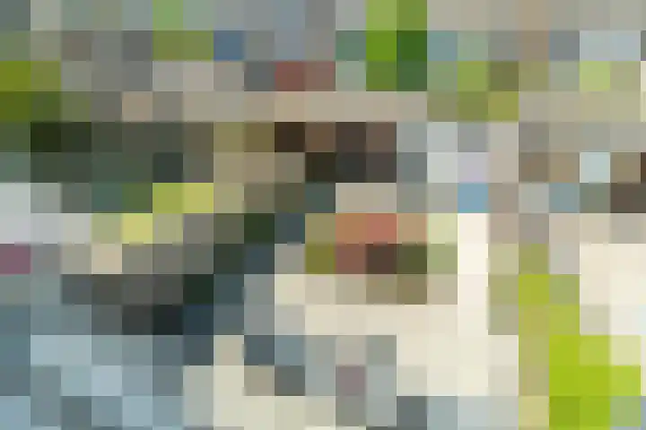 P.C. Hooftstraat 18 Waddinxveen thumbnail 40