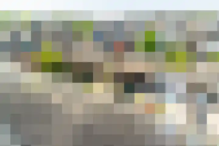 P.C. Hooftstraat 18 Waddinxveen thumbnail 41