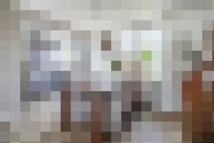 P.C. Hooftstraat 18 Waddinxveen thumbnail 6