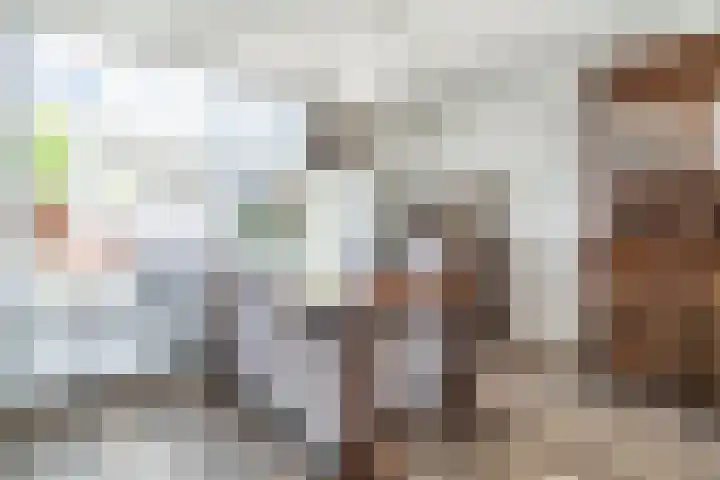 P.C. Hooftstraat 18 Waddinxveen thumbnail 8