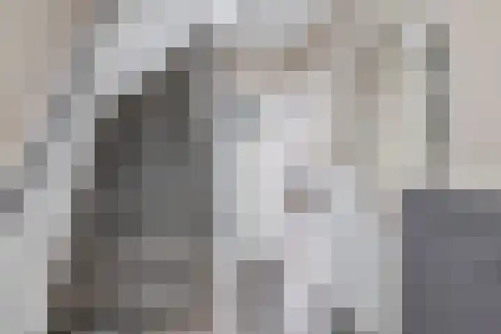 P.C. Hooftstraat 19 Spijkenisse thumbnail 13