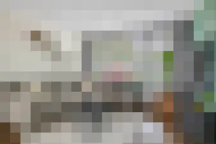 P.C. Hooftstraat 19 Spijkenisse thumbnail 14
