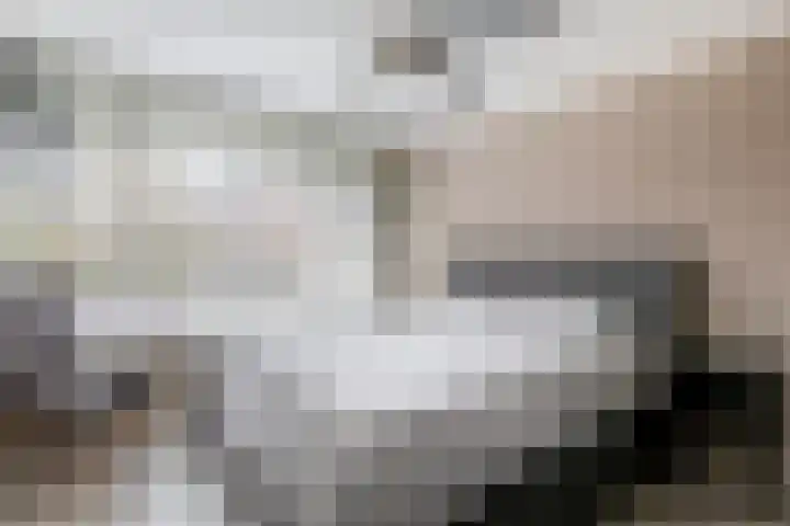 P.C. Hooftstraat 19 Spijkenisse thumbnail 31