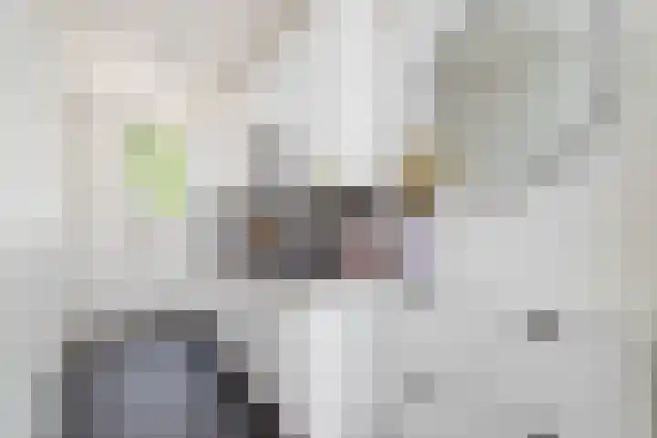 P.C. Hooftstraat 2 B Utrecht thumbnail 8