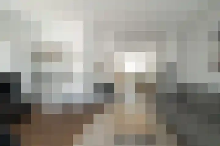 P.C. Hooftstraat 2 Breda thumbnail 17