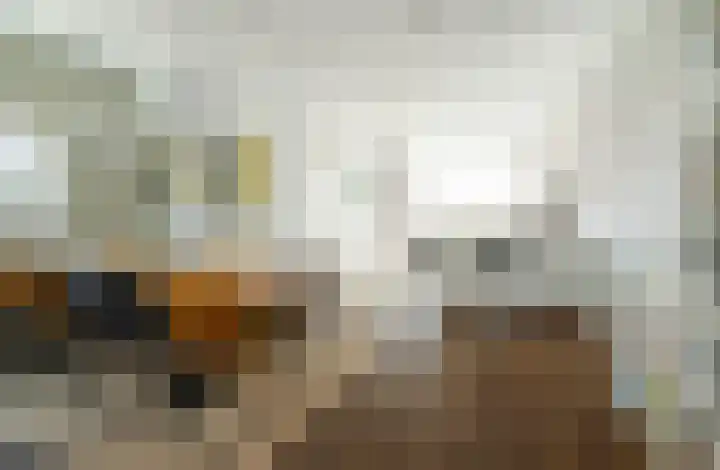 P.C. Hooftstraat 2 Breda thumbnail 18