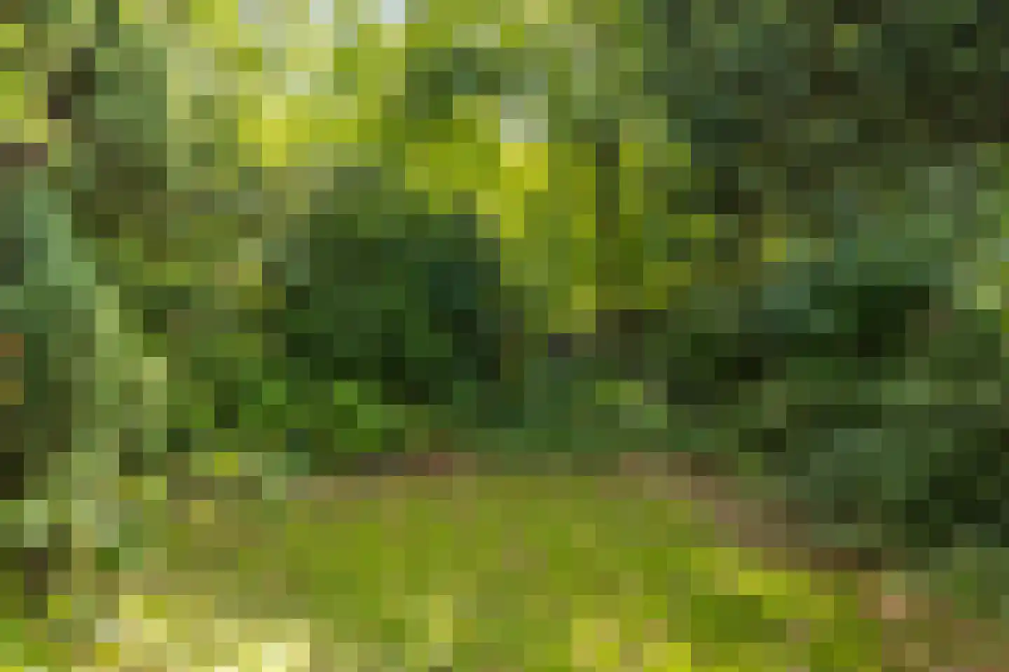 P.C.Hooftstraat 2 Brunssum thumbnail 21