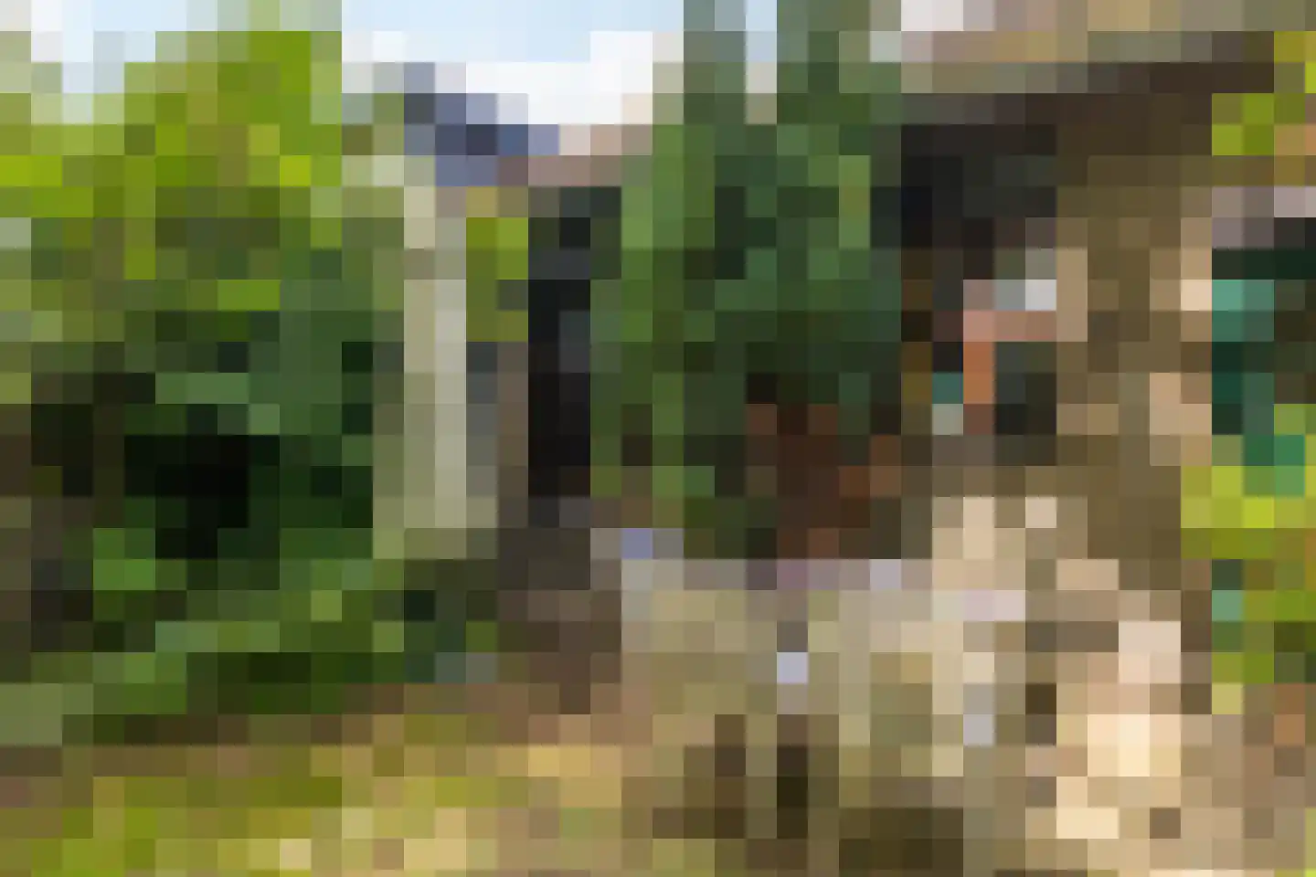 P.C.Hooftstraat 2 Brunssum thumbnail 22