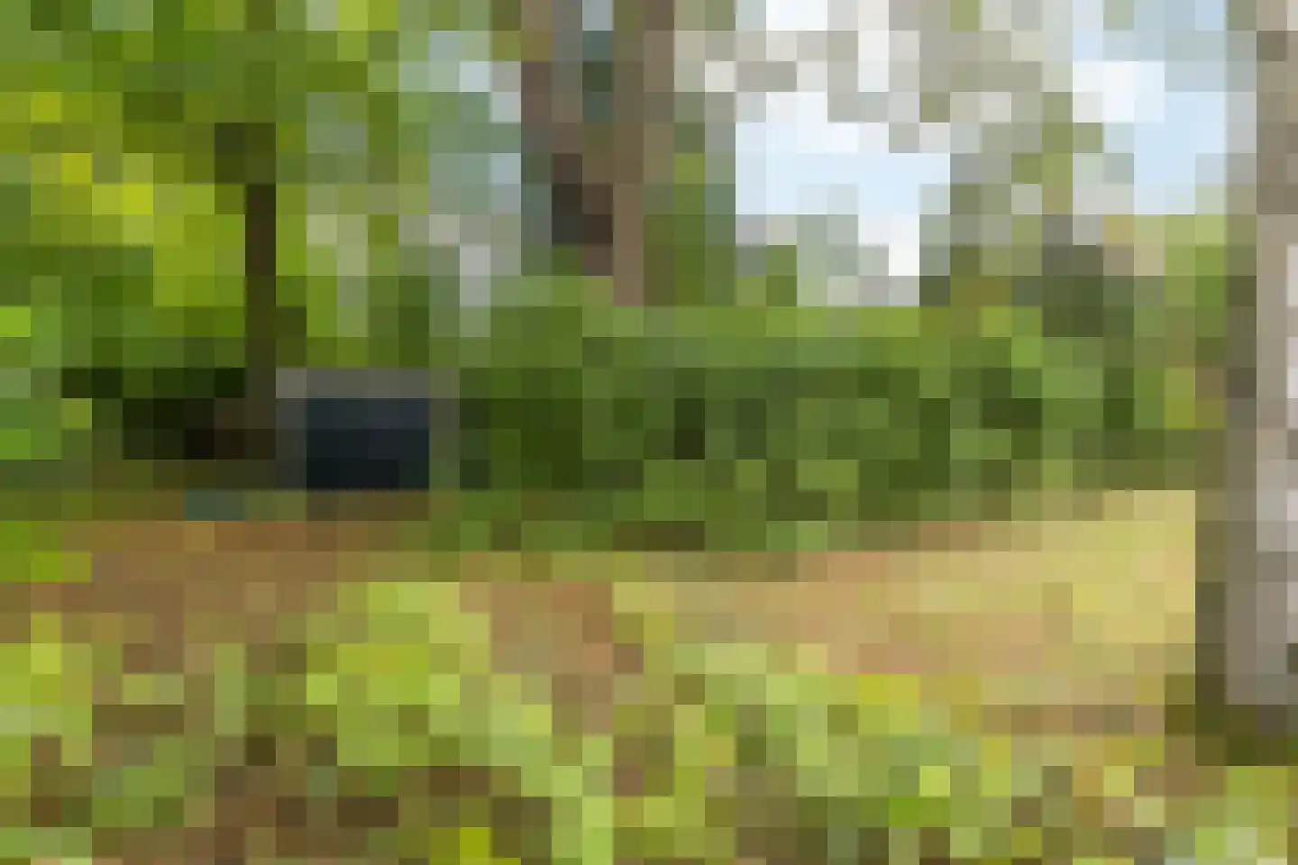P.C.Hooftstraat 2 Brunssum thumbnail 24
